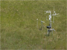 photograph of Hensen marsh site.