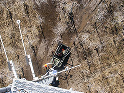 photo from the top of the Dwarf Cypress flux station of the ground and net radiometers