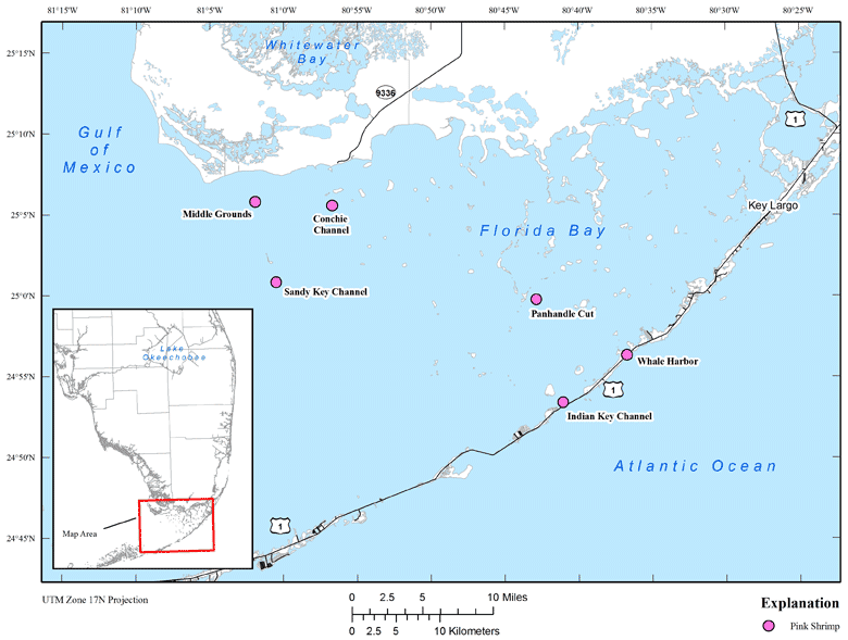 Location map showing Pink Shrimp sites